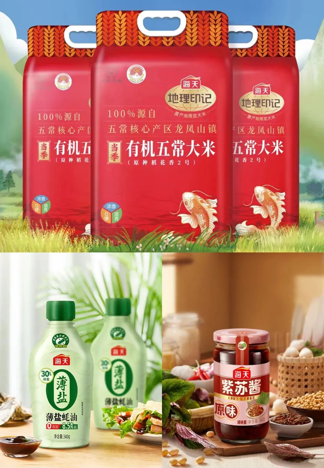 海天發布最新產品規劃